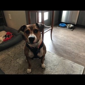 Meet your Posher, Chris